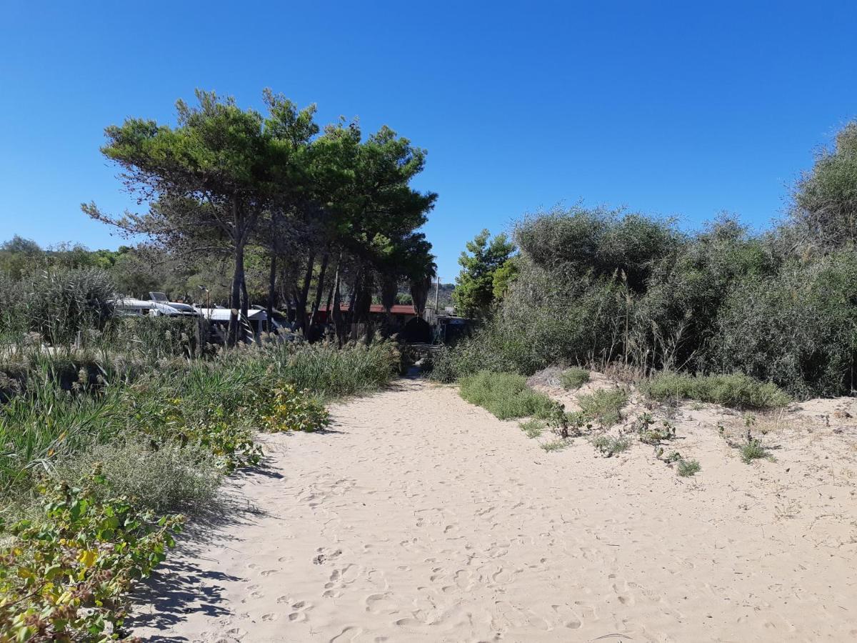 维耶斯泰 La Dimora In Riva Al Mare酒店 外观 照片