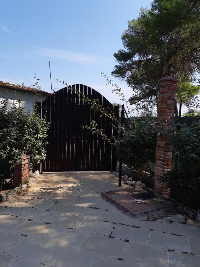 维耶斯泰 La Dimora In Riva Al Mare酒店 外观 照片