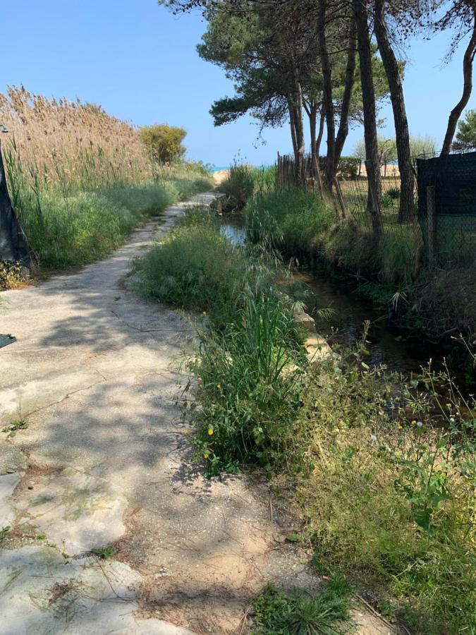 维耶斯泰 La Dimora In Riva Al Mare酒店 外观 照片