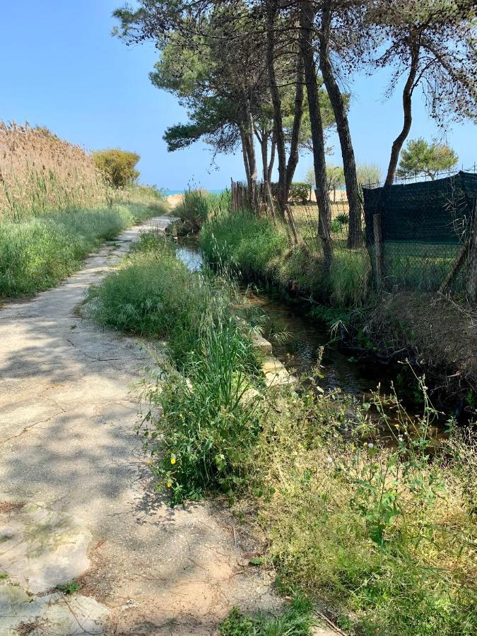 维耶斯泰 La Dimora In Riva Al Mare酒店 外观 照片
